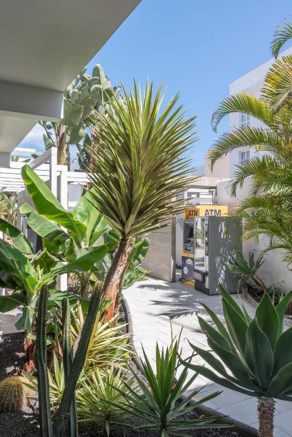 Gaviota Holidayfv Appartement *